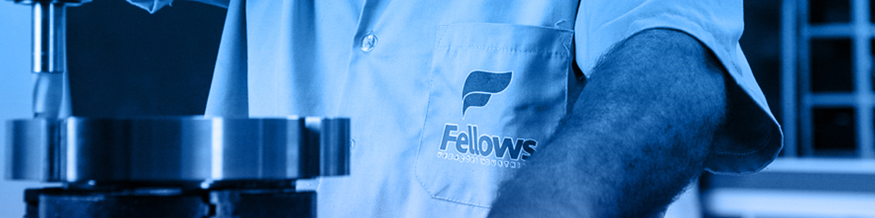 Fotos Fellows