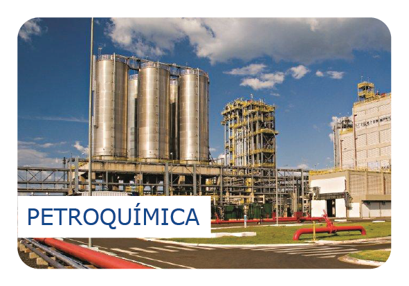 Segmento Petroquímica