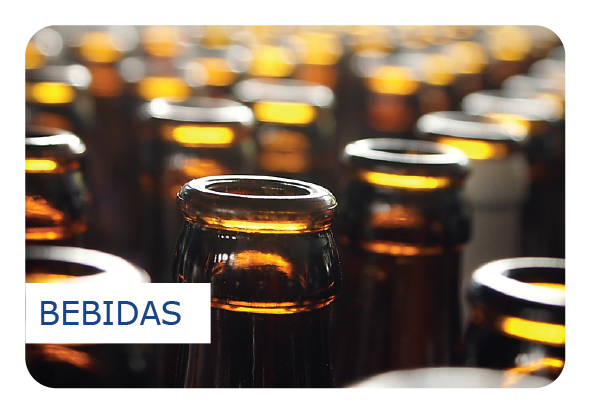 Segmento Bebidas
