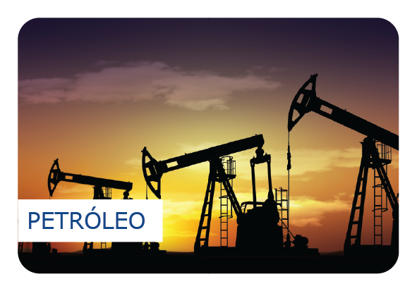Segmento Petróleo