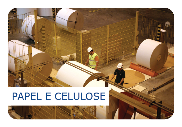 Segmento Papel e Celulose