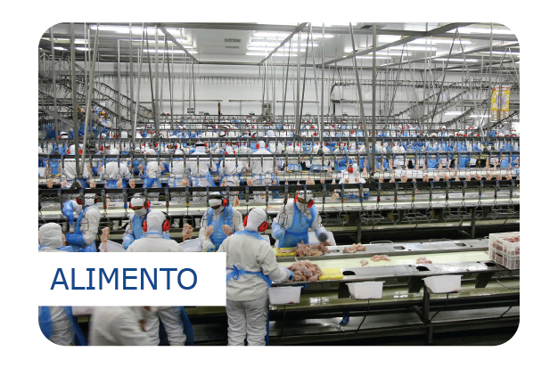 Segmento Alimento