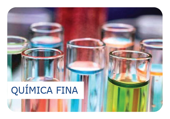 Segmento Química Fina